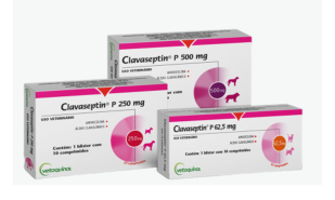 Clavaseptin P - Pack Shot 3